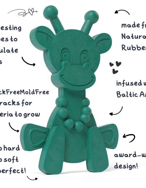 Load image into Gallery viewer, The Little Bamber - Green - Natural Rubber &amp; Baltic Amber Teething Toy
