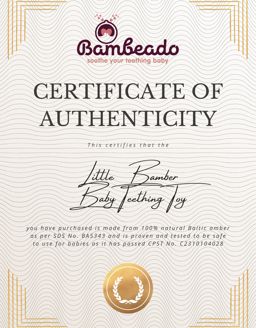Load image into Gallery viewer, The Little Bamber - Natural Rubber &amp; Baltic Amber Teething Toy
